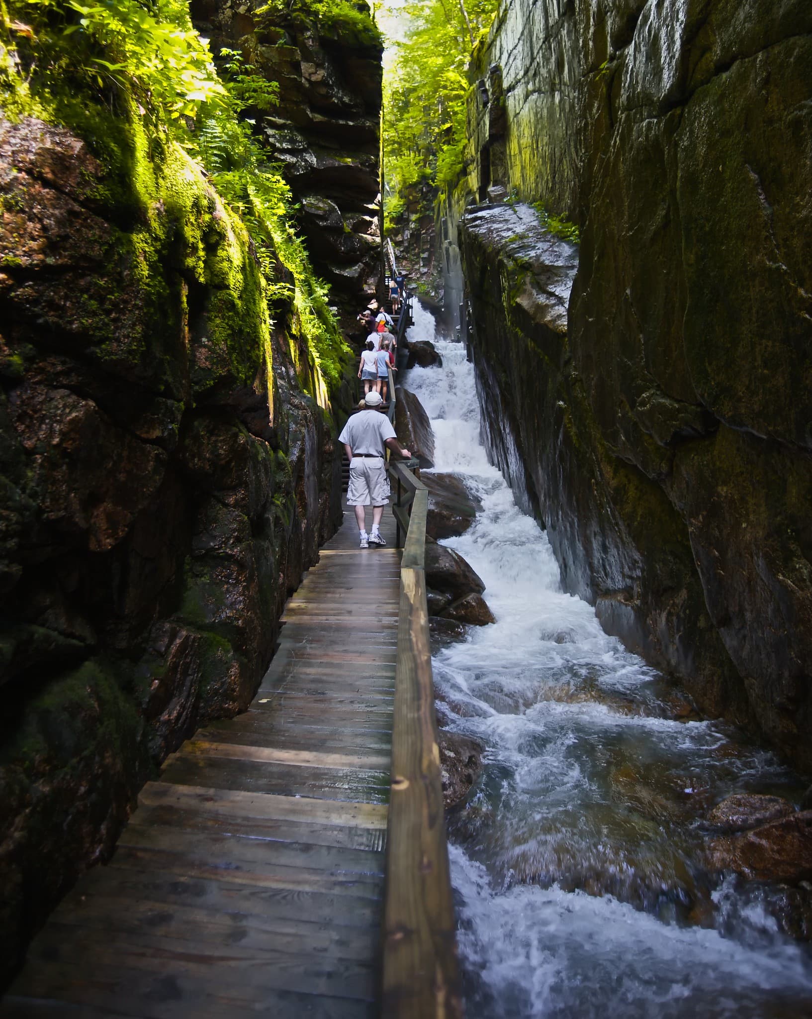 Flume Gorge view in New Hampshire, gallery 5. User supplied image. Verify rights before public publish.