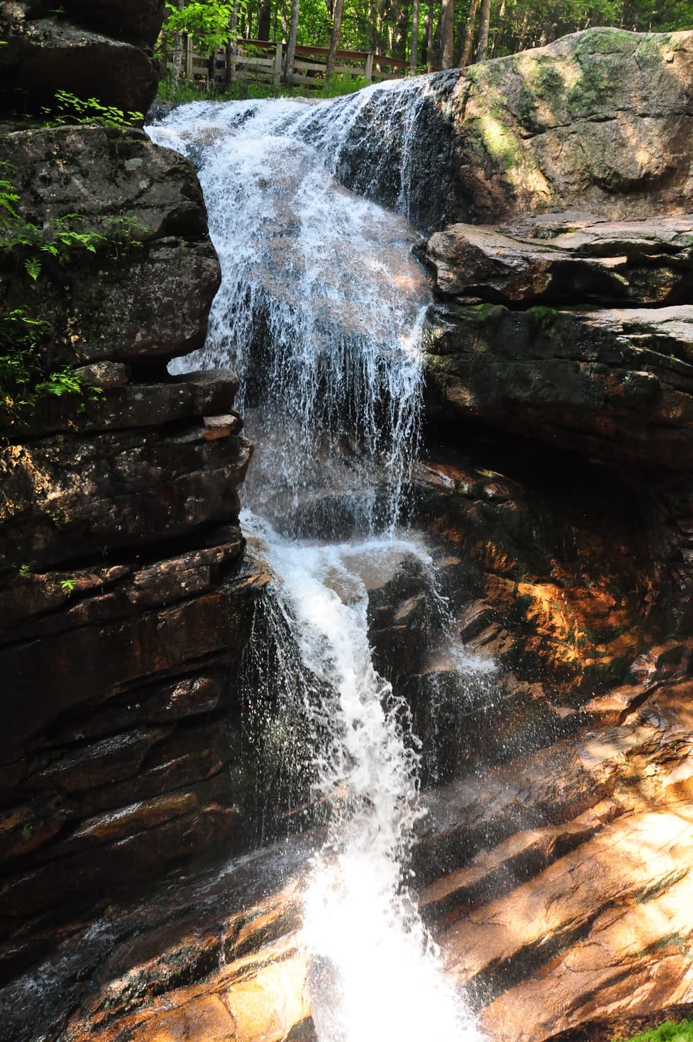 Flume Gorge view in New Hampshire, gallery 7. User supplied image. Verify rights before public publish.