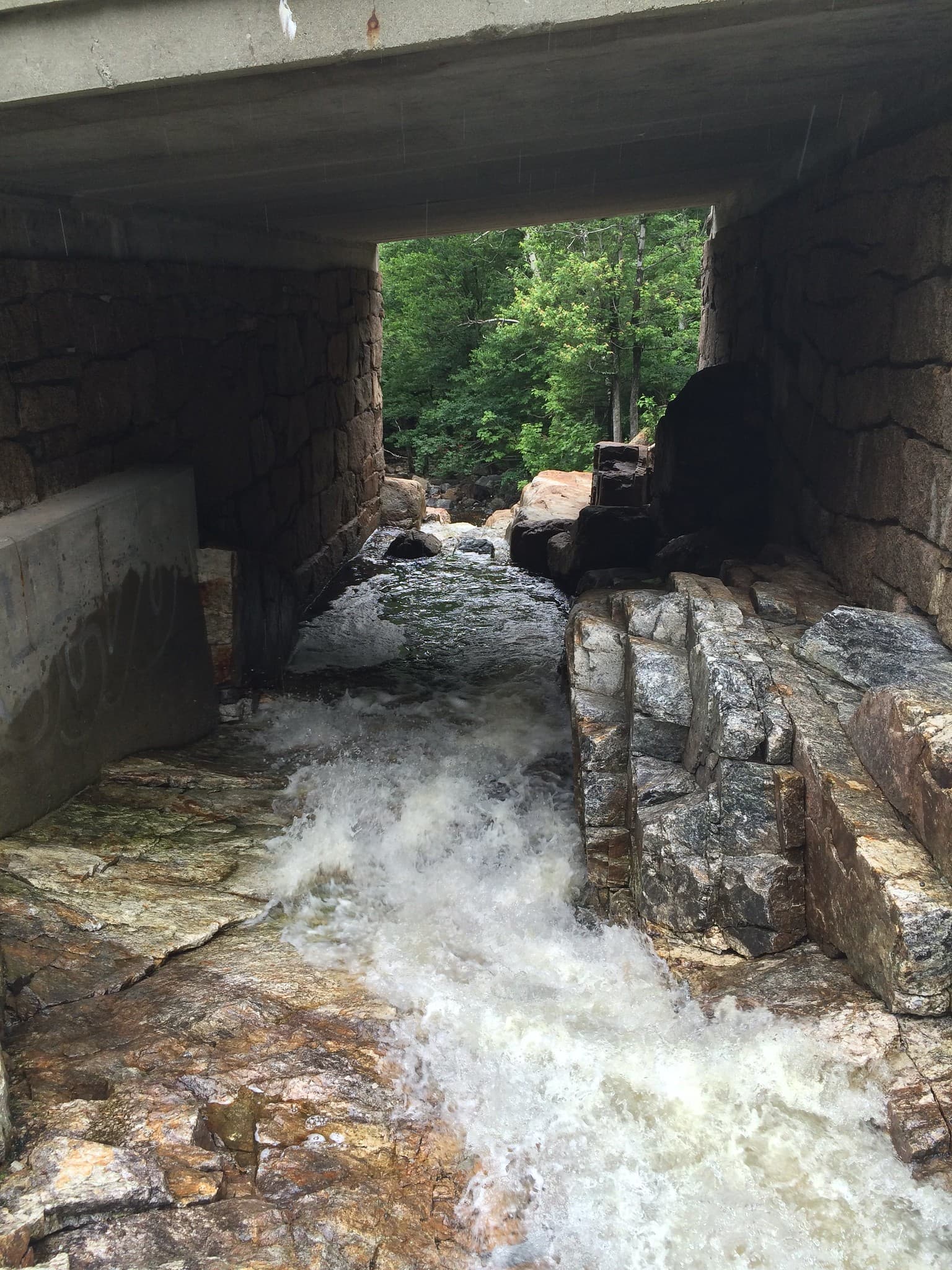 Silver Cascade And Flume Cascade view in New Hampshire, gallery 7. User supplied image. Verify rights before public publish.