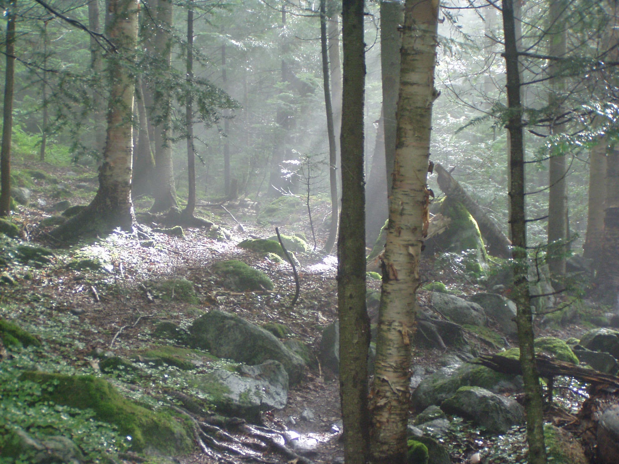 Thirteen Falls scene in New Hampshire (gallery 4). User supplied image; verify rights before public publish.