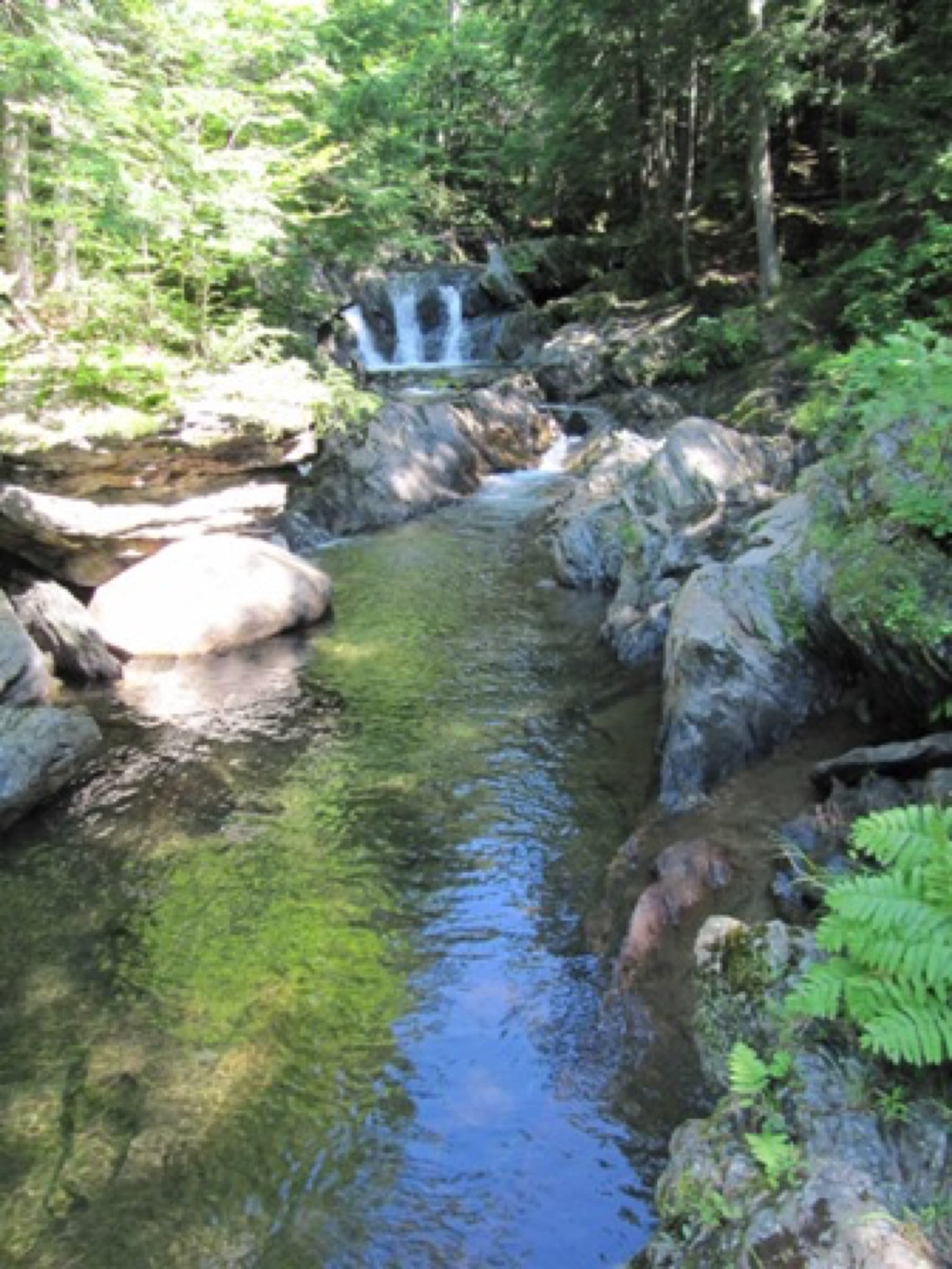 Long narrow pool below a small cascade at Journey's End Swimming Hole.
