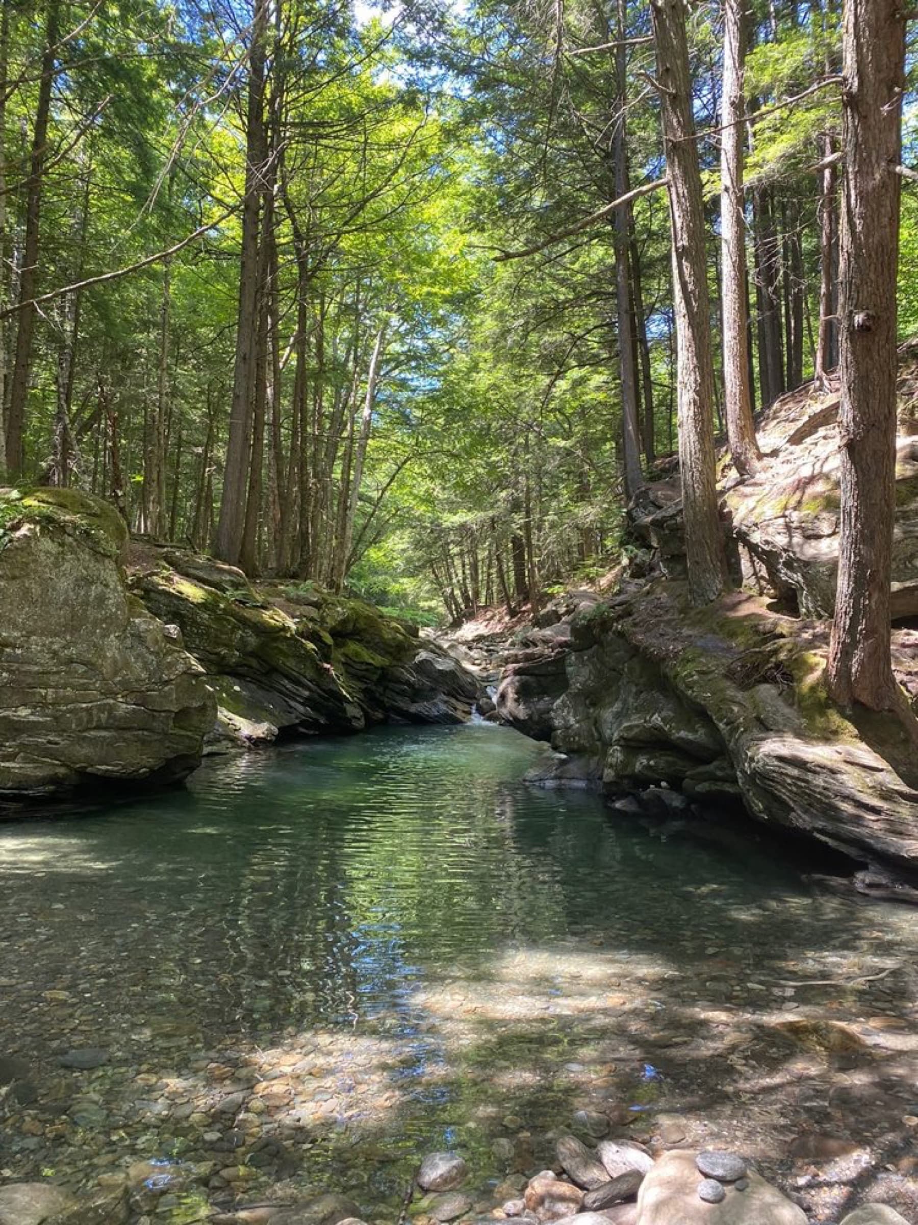 Clear shallow edge and deep green channel at Twenty-Foot Hole beneath tall hemlocks and ledge walls.