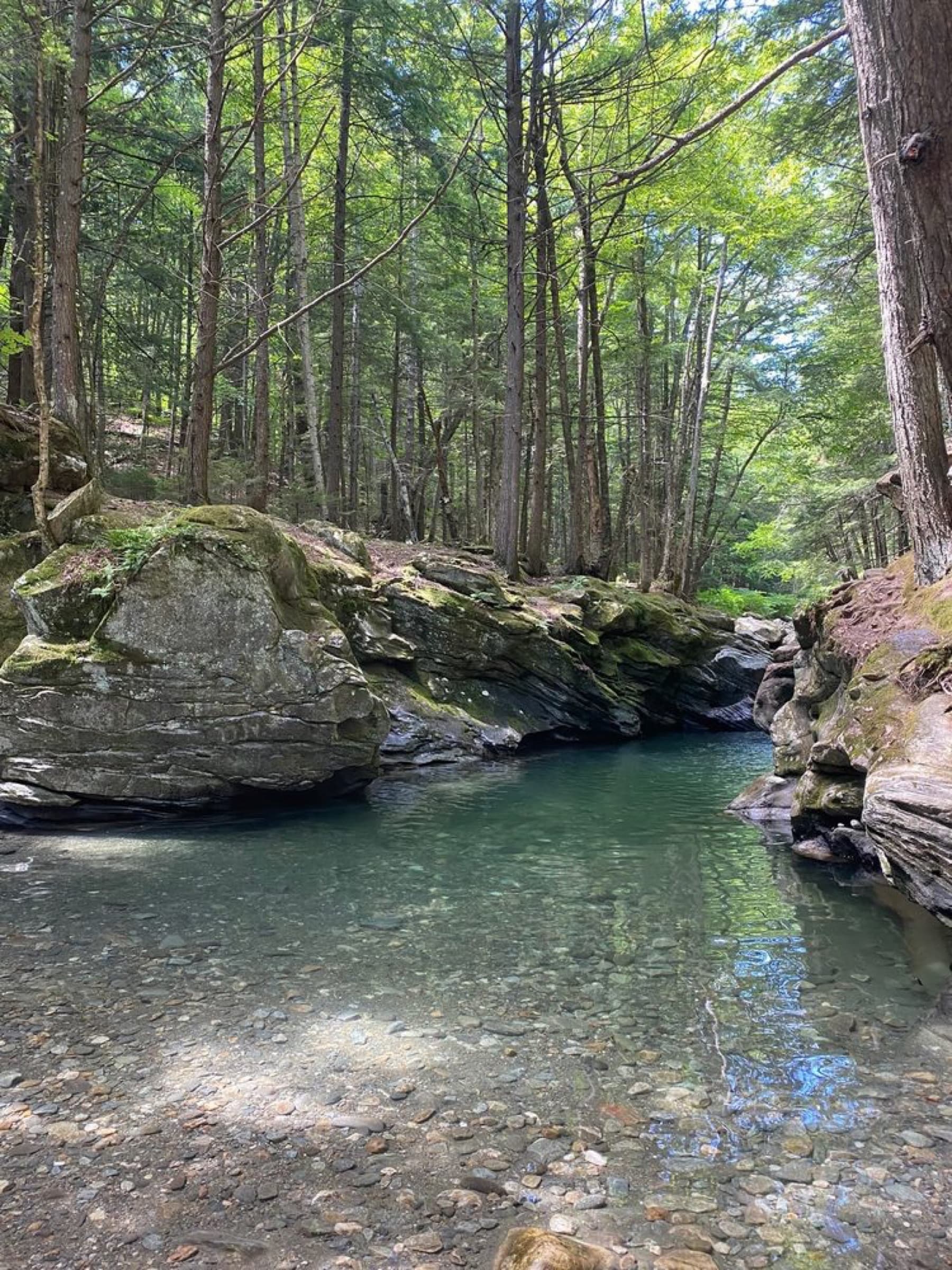 Pebble shallows and a deeper blue-green pool at Twenty-Foot Hole on a bright summer day.