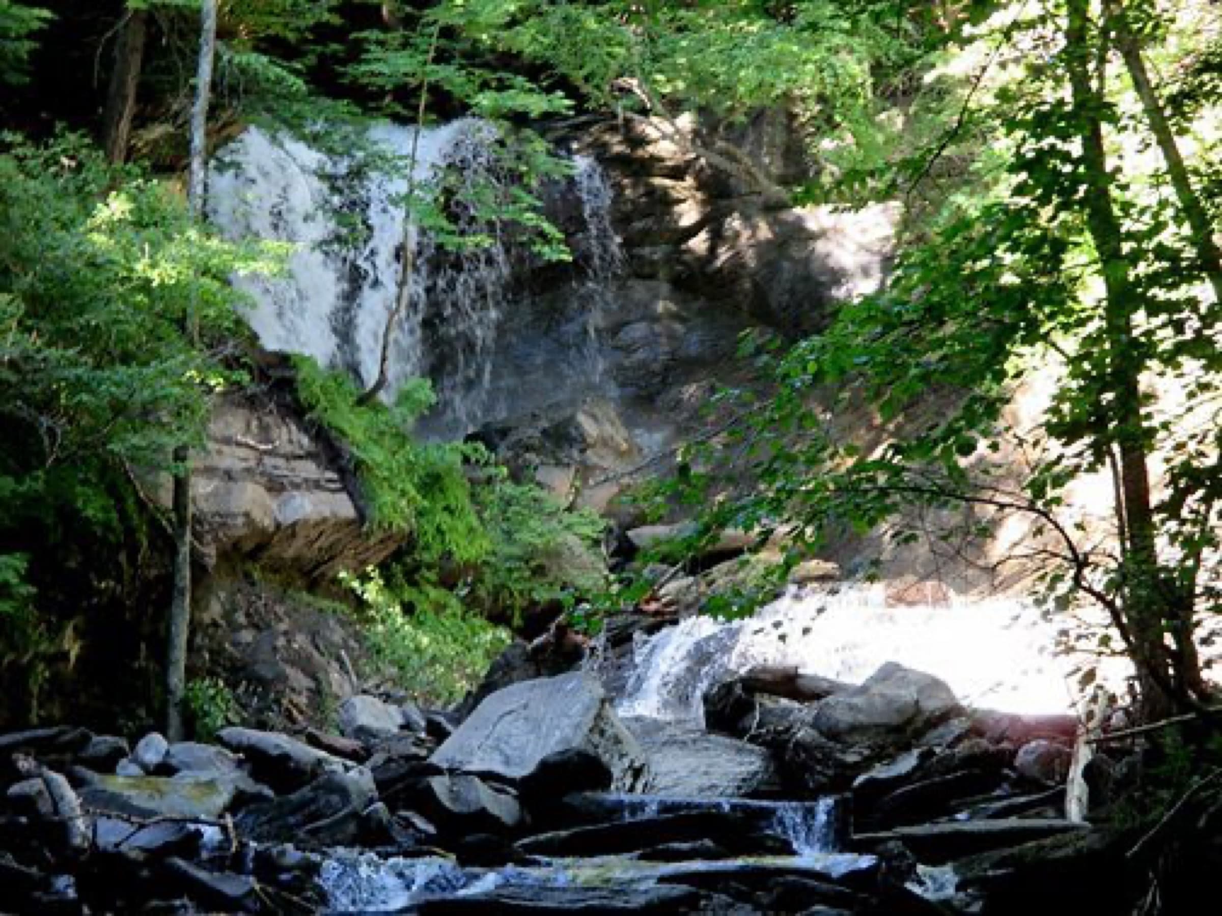 Two visible plunges and rocky brook channel at Old City Falls in leafy summer conditions.