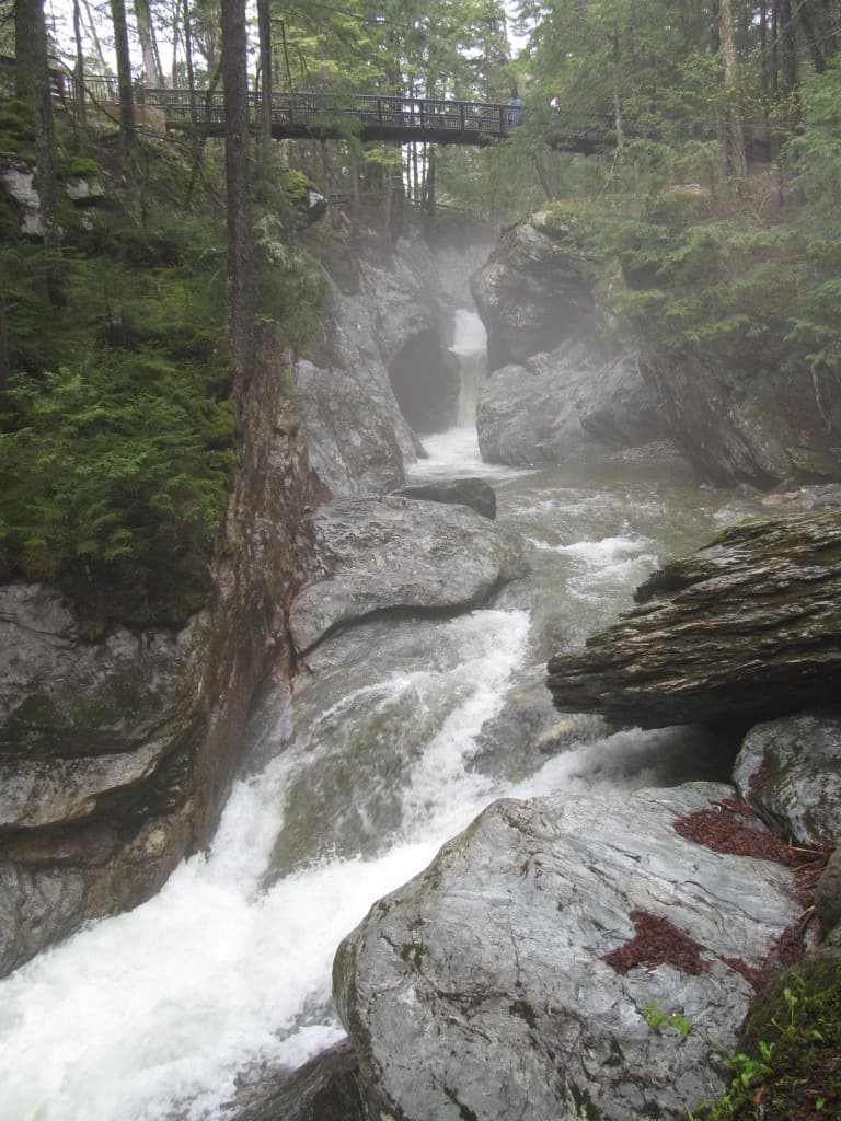 Texas Falls overlook with trees framing the gorge in Vermont