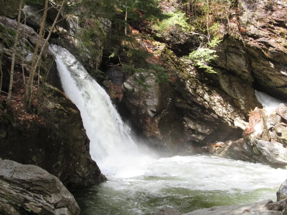 Bingham Falls dropping through a shaded Vermont gorge near Stowe.