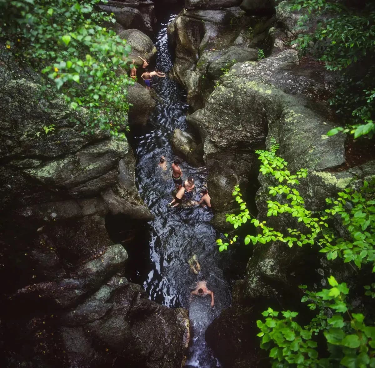A calm New Hampshire lake with summer swimmers near tree-lined shore.