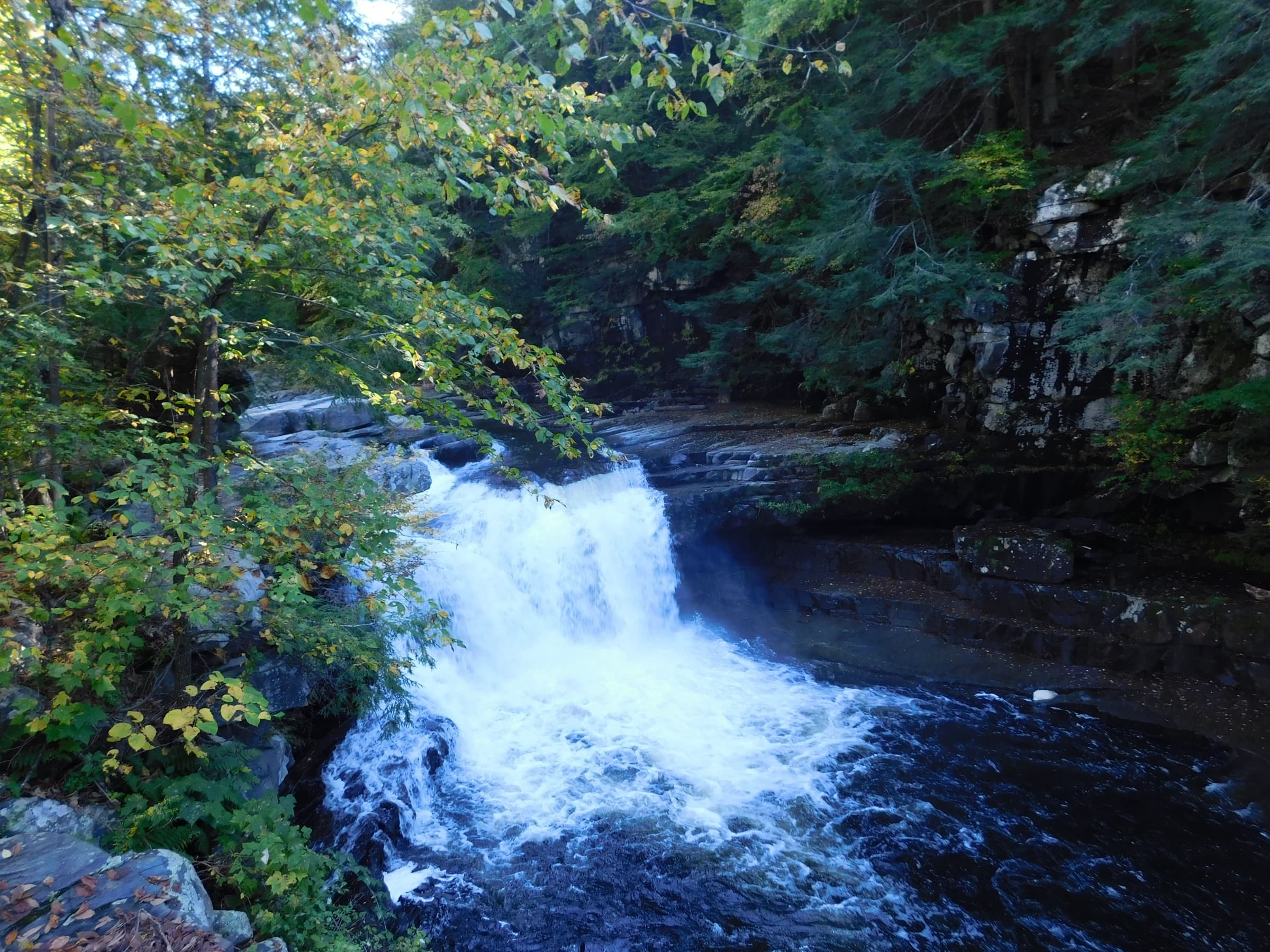 Bristol Falls and its clear green pool in a rocky Vermont river gorge.