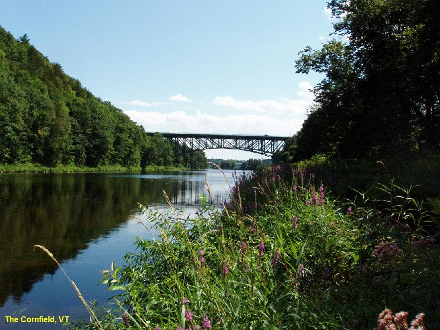 Cornfield Swimming Hole on the West River