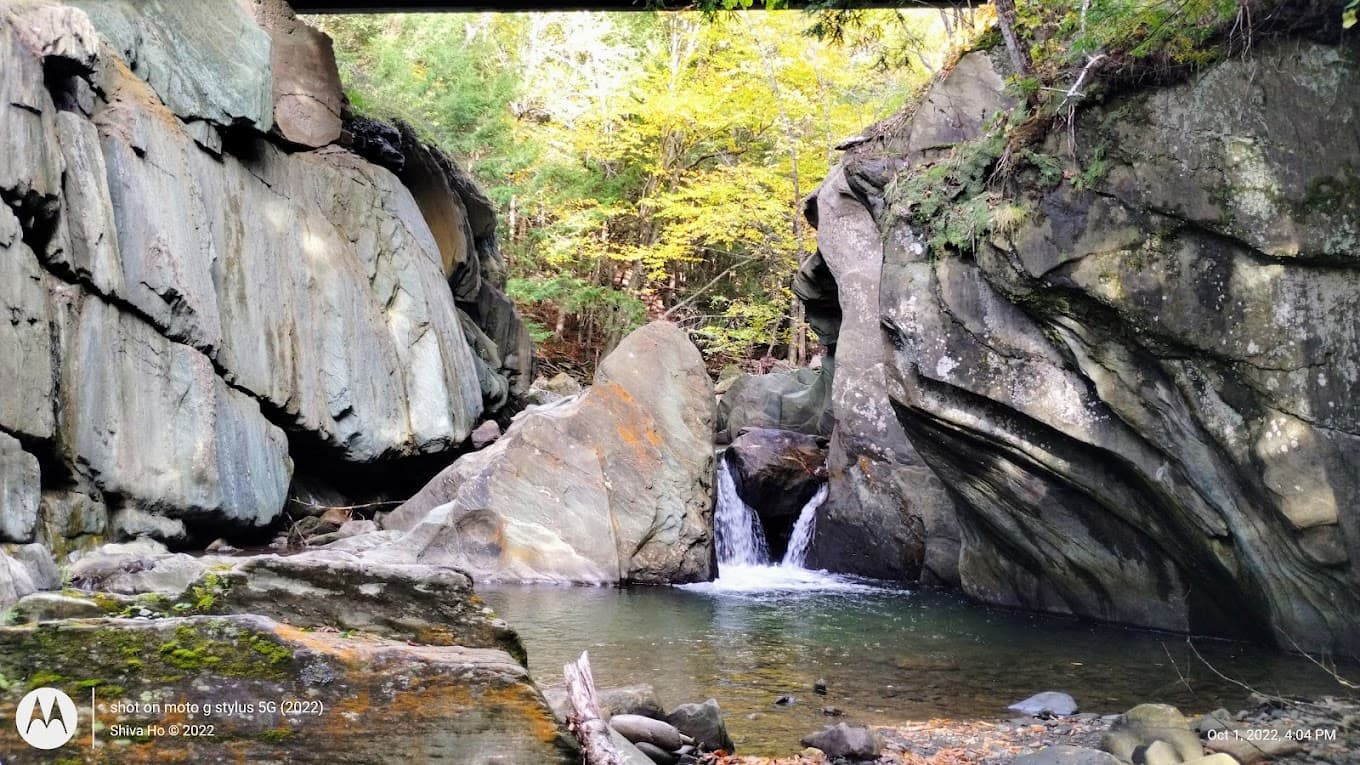 Gold Brook swimming area in Vermont forest.