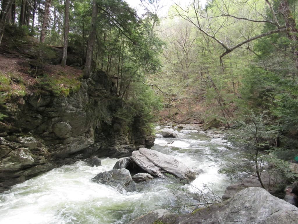 Wide view of white-water rapids, mossy cliff, and mixed forest along the stream at Bingham Falls.