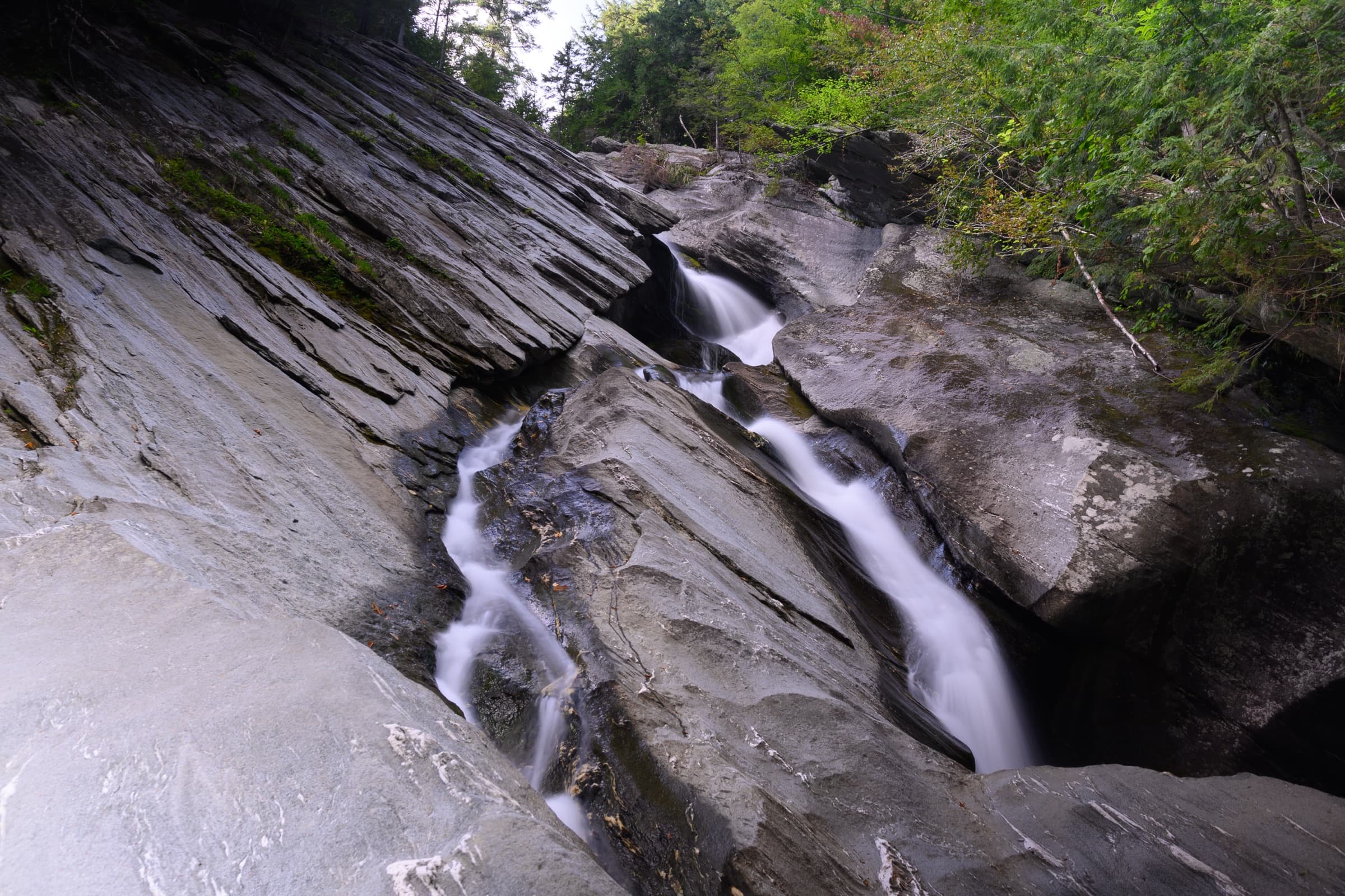 Hamilton Falls cascade, forest