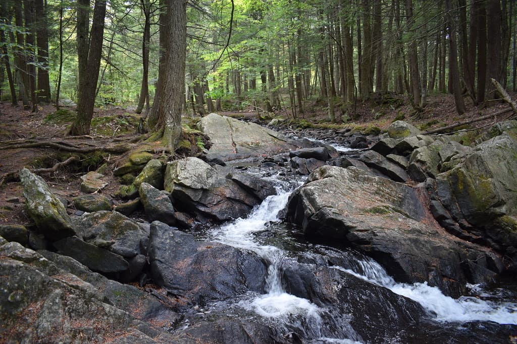Thundering Brook Falls boardwalk and cascade in Vermont.