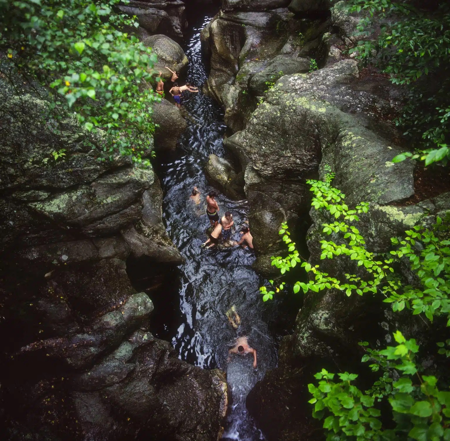 A calm New Hampshire lake with summer swimmers near tree-lined shore.
