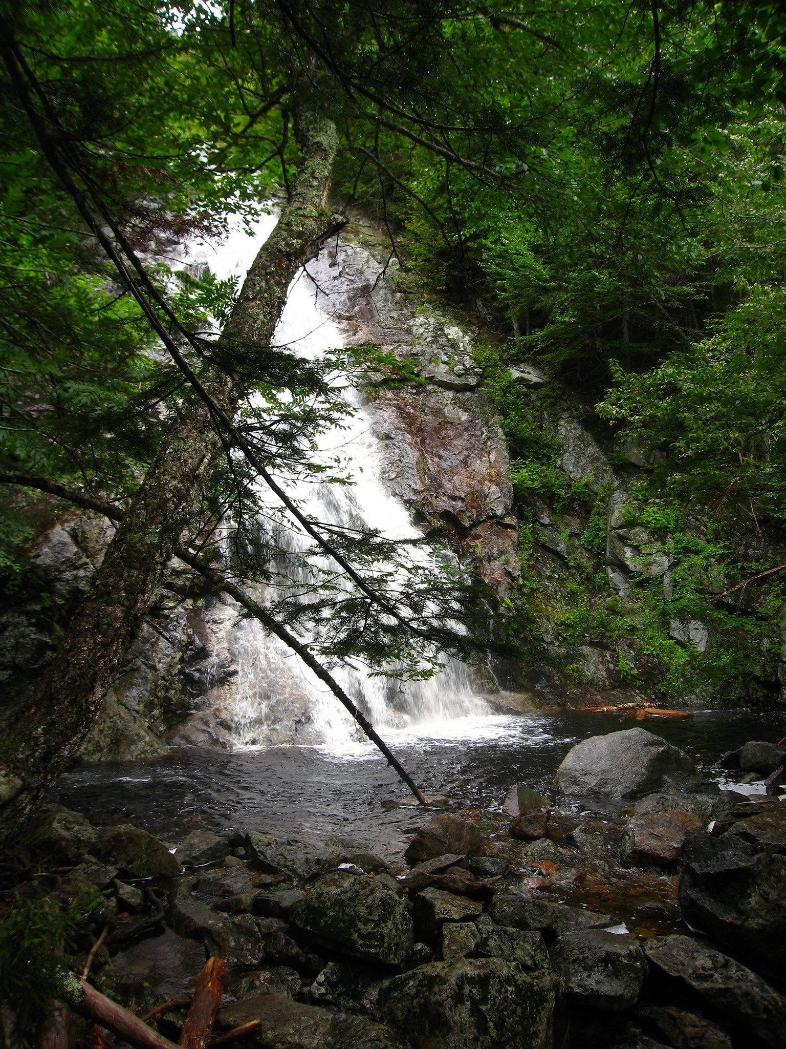 Nancy Cascades guide preview