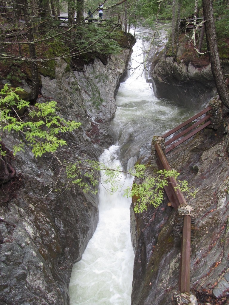Texas Falls on Hancock Branch: white water in a narrow rocky gorge, viewing trail railing and forest canopy, Green Mountain National Forest near Hancock, Vermont